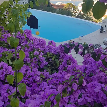 Villa Roc Maria Lucia Nice