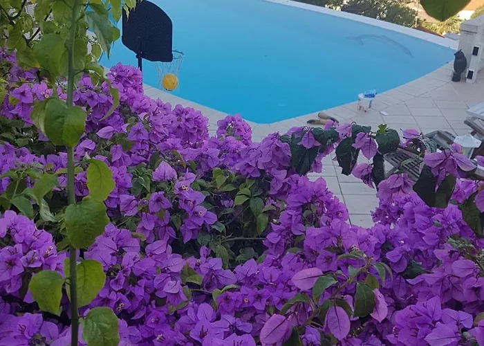 Villa Roc Maria Lucia Nice